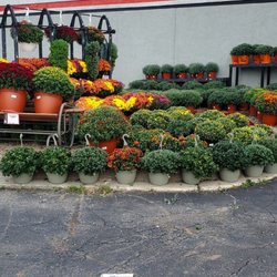 Len's Ace Hardware - Mums