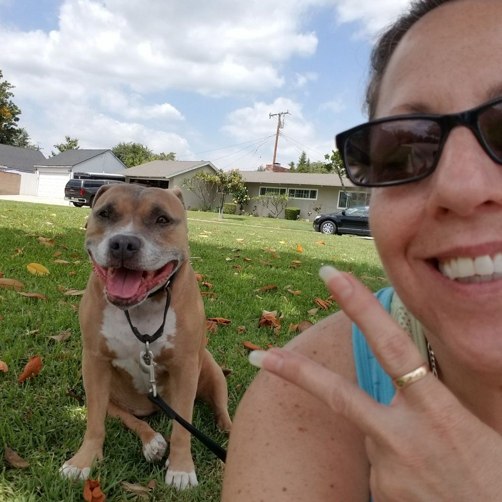 AFFORDABLE ANIMAL HOSPITAL WHITTIER Updated August 2024 103 Photos