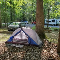 Pipestem Country Campground - My new one man tent.