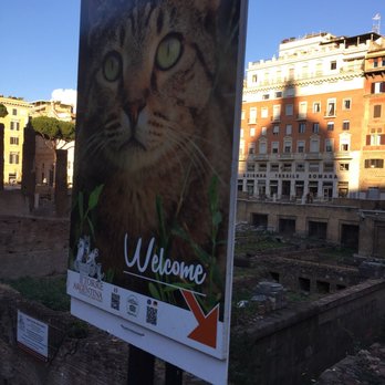 Torre Argentina - A sign points you and welcomes you into the shelter where there's about a zillion cats up for adoption. - Public Plazas Near Me - Rome, RM Torre Argentina - A sign points you and welcomes you into the shelter where there's about a zillion cats up for adoption. - Public Plazas Near Me - Rome, RM