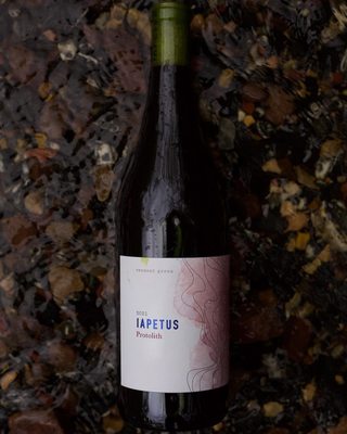 Shelburne Vineyard by null