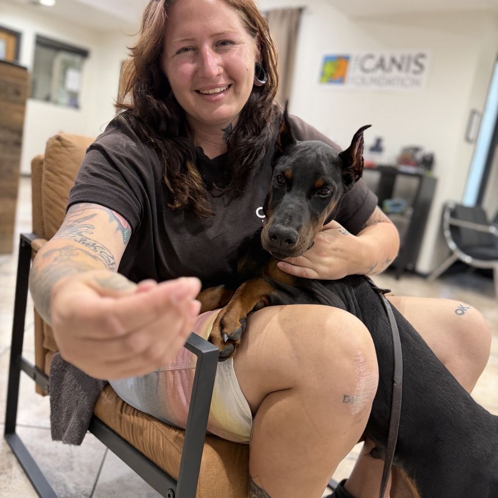 CANIS - Behavior and Training - Pet Training Near Me - Tarzana, California