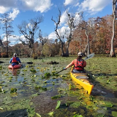 Adventure Kayak & Stand Up Paddleboard by null