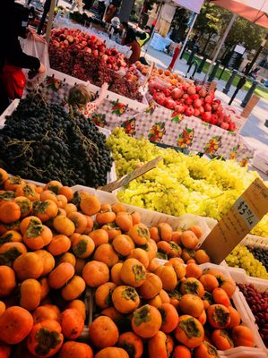 Santa Clara Farmers Market by null