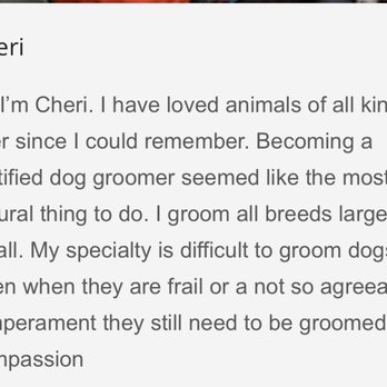 Paws Grooming - Pet Groomers Near Me - Morton Grove, Illinois Paws Grooming - Pet Groomers Near Me - Morton Grove, Illinois
