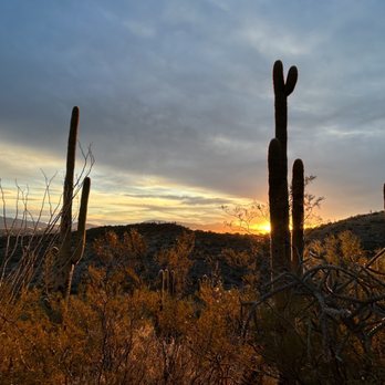 Tumamoc Hill - Hiking Near Me - Tucson, Arizona