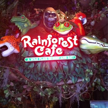 Rainforest Cafe - American Near Me - San Antonio, Texas