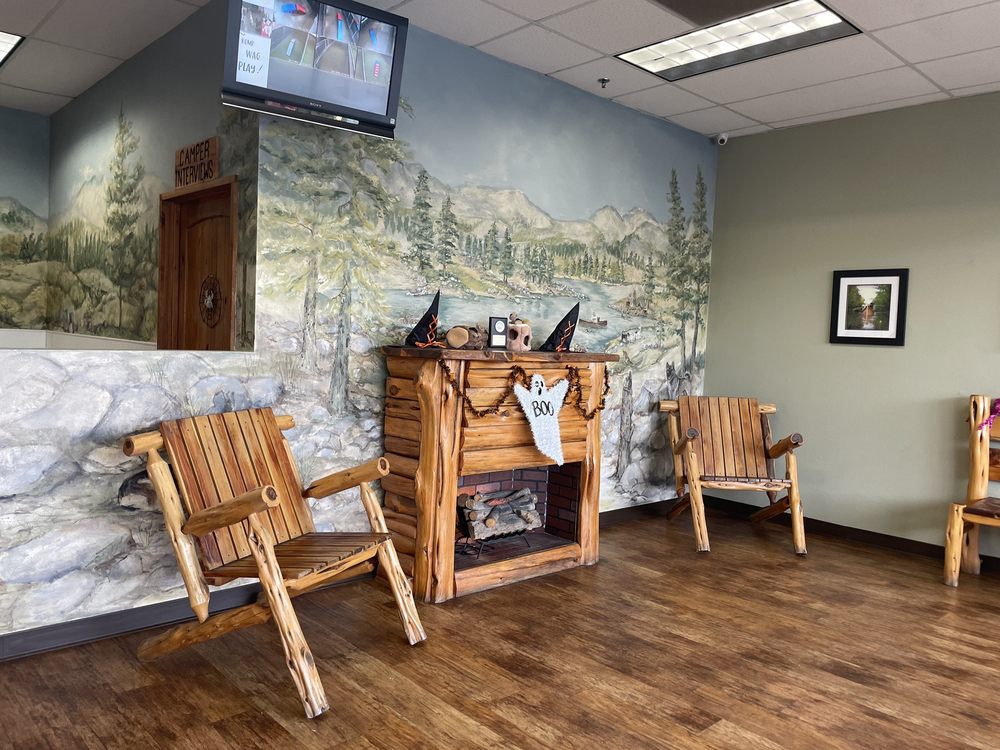 CAMP BOW WOW TEMECULA 63 Photos & 151 Reviews 42192 Sarah Way