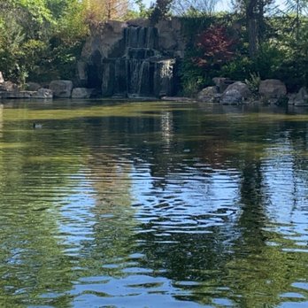 ABQ BioPark Botanic Garden - Pond at the Japanese garden - Botanical Gardens Near Me - Albuquerque, New Mexico ABQ BioPark Botanic Garden - Pond at the Japanese garden - Botanical Gardens Near Me - Albuquerque, New Mexico