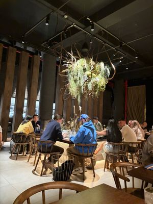 GOGYO Gramercy by null