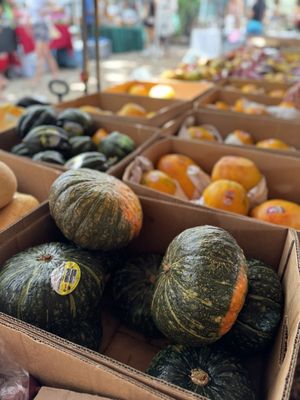 Coconut Grove Farmer's Market by null