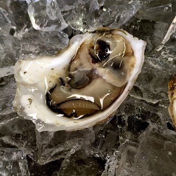 Shuck Station - Perfect shucking done by hand. - Seafood Near Me - Newcastle, Maine Shuck Station - Perfect shucking done by hand. - Seafood Near Me - Newcastle, Maine