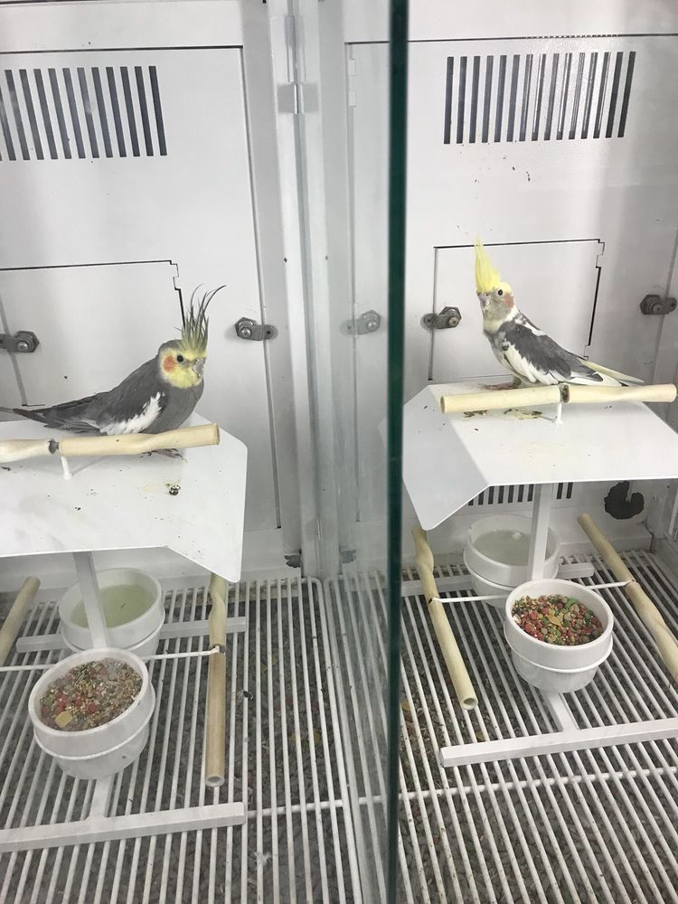 PETCO 26 Photos Pet Groomers 7609 Crain Hwy, Upper Marlboro, MD Phone Number Yelp