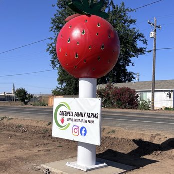 Creswell U pick - Pick Your Own Farms Near Me - Brentwood, California Creswell U pick - Pick Your Own Farms Near Me - Brentwood, California