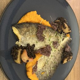 Trout, lentils, rhubarb, carrot ginger puree