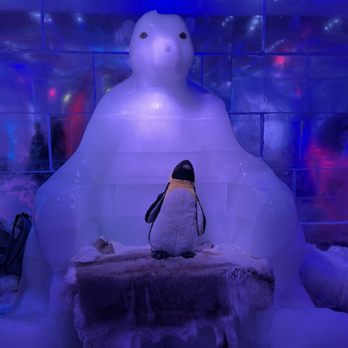 ICEBAR Orlando - Dance Clubs Near Me - Orlando, Florida