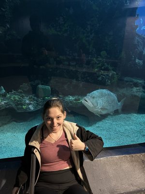 North Carolina Aquarium at Fort Fisher by null