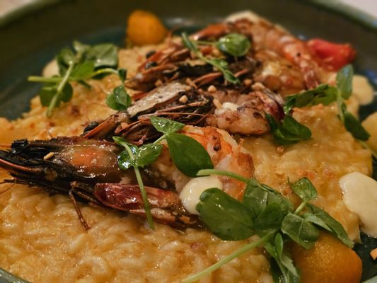 Saint & Second by null