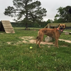 Hanover Dog Park - Awesome huge fenced in area with really cool toys and training structures