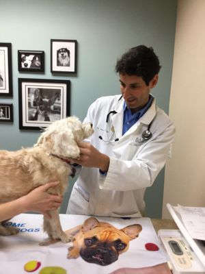 Baxter Veterinary Clinic 36 Photos 22 Reviews Veterinarians 1152 Stonecrest Blvd Tega Cay Sc United States Phone Number