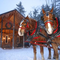 Thunder Bay Resort - Belgians in front of dinner hall.    Not my pic. Got this from the web.