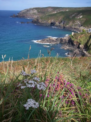 Gurnards Head Hotel by null