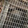 Handy Dad's Wildlife Management And Home Repairs