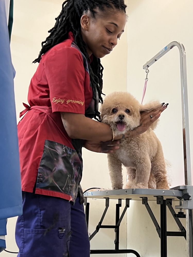 KALI’S PET PAWLOR Updated July 2024 41 Photos Fort Collins