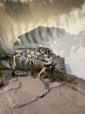 Denver Museum of Nature & Science by null