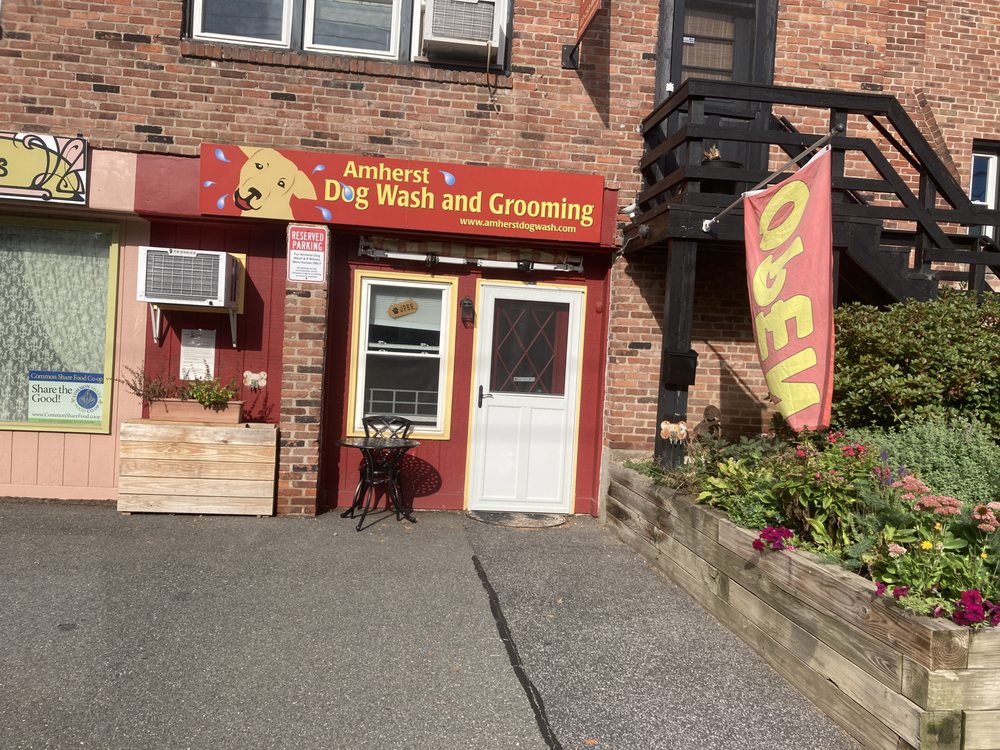 AMHERST DOG WASH Updated August 2024 14 Reviews 321 Main St