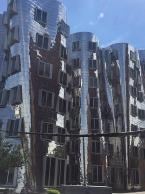 Gehry Bauten by null