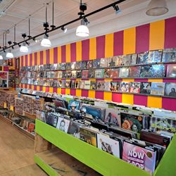 Animal Records - One of the lovely employees, Mary M. at The New Location.
