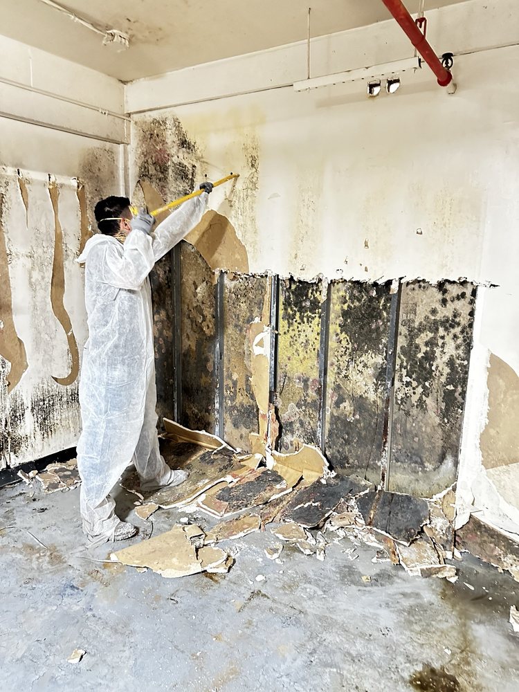 Atlanta's Best Restoration - mold inspector in Atlanta, GA