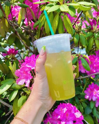 Seed Cafe and Espresso Bar by null