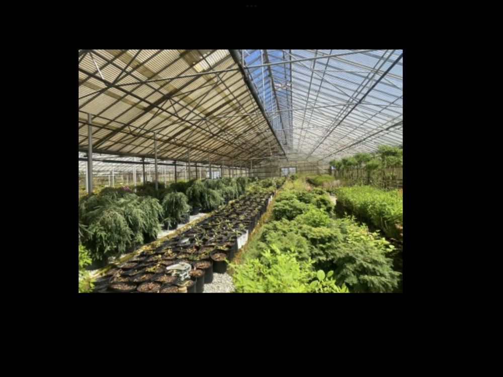 RIVERDALE NURSERY 11 Photos 72 Braswell Rd, Newland, North Carolina