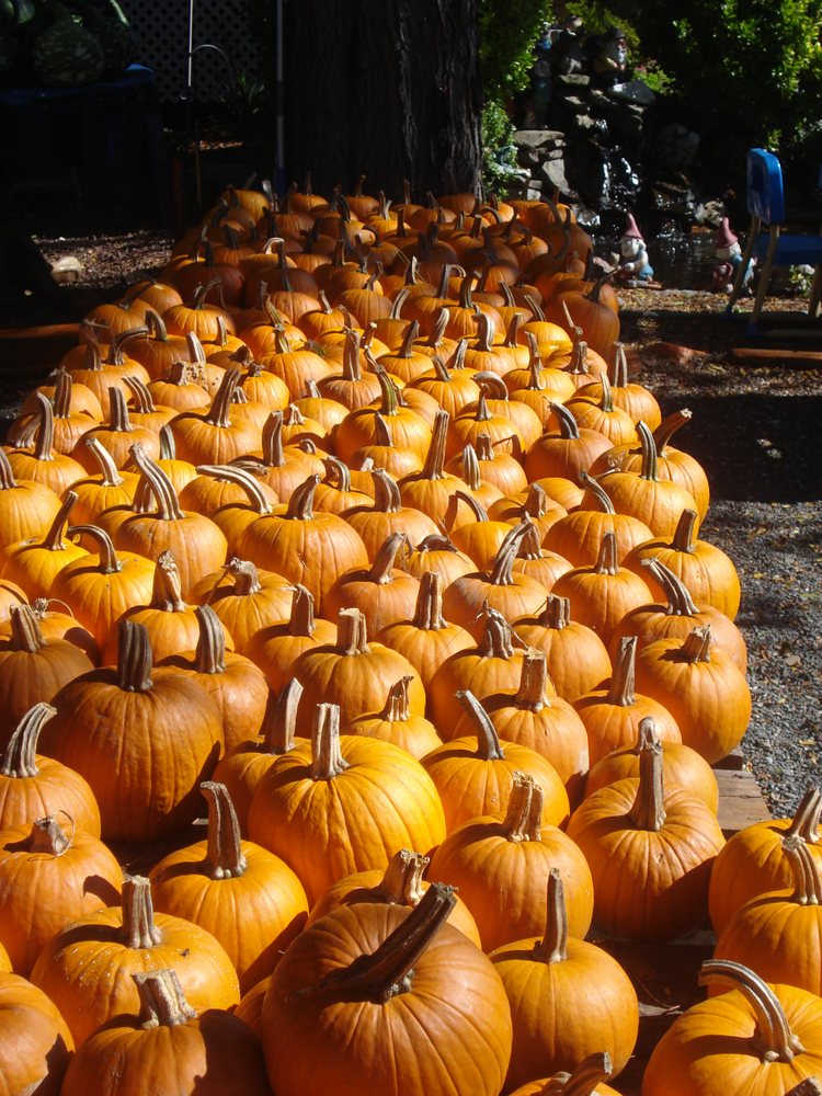 John and Joan's Road Stand Logo