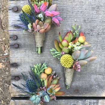 Westwind Succulents - Florists Near Me - Oakland, California Westwind Succulents - Florists Near Me - Oakland, California