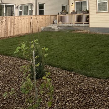 Arborea Landscape - a backyard with a fence and green grass - Landscaping Near Me
