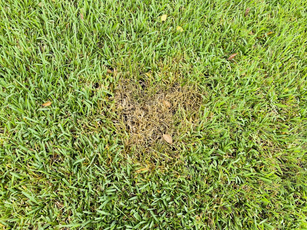 Slide of Safe Touch Pressure Washing & Painting