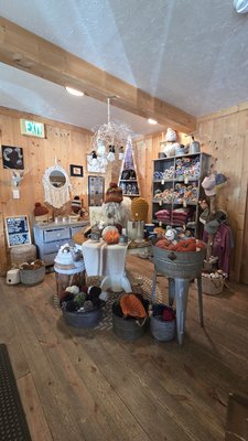 The Shaggy Sheep by null