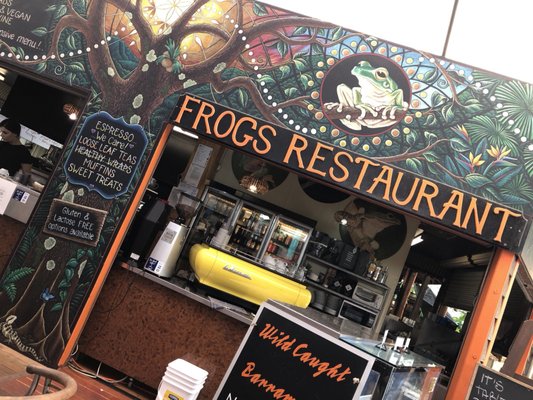 Frogs Kuranda by null