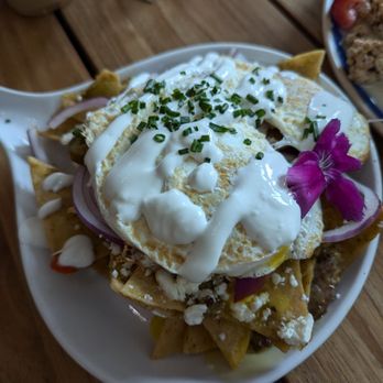 Nightingale - Chilaquiles - Breakfast & Brunch Near Me - Huntington Beach, California Nightingale - Chilaquiles - Breakfast & Brunch Near Me - Huntington Beach, California
