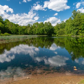Hedden County Park - The pond at Hedden Park. - Parks Near Me - Dover, New Jersey Hedden County Park - The pond at Hedden Park. - Parks Near Me - Dover, New Jersey