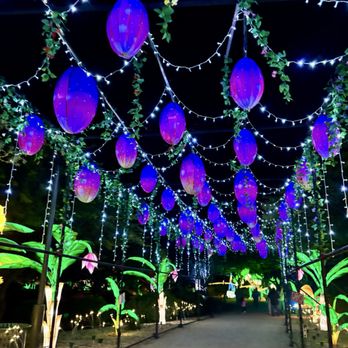 Tianyu Lights Festival - Festivals Near Me - Phoenix, Arizona Tianyu Lights Festival - Festivals Near Me - Phoenix, Arizona