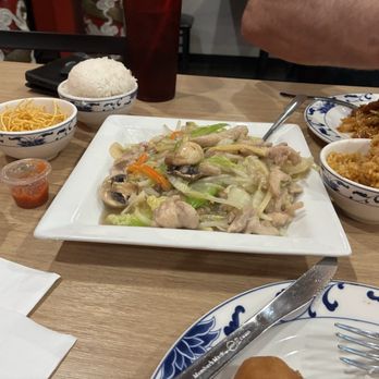 Oriental House - Chicken chow mein. Delicious. Veggies were perfect. Mixed a little garlic sauce with it. - Chinese Near Me - St Matthews, Kentucky Oriental House - Chicken chow mein. Delicious. Veggies were perfect. Mixed a little garlic sauce with it. - Chinese Near Me - St Matthews, Kentucky