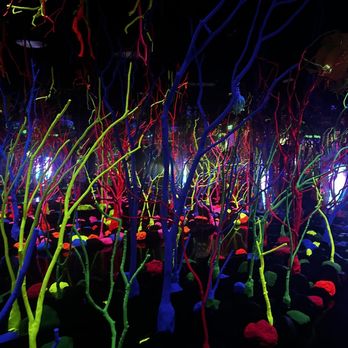 The Real Unreal - Meow Wolf - Art Museums Near Me - Grapevine, Texas
