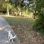 Photo of evans pond park