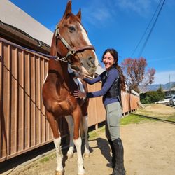Good Pony - Apache is a barn favorite!