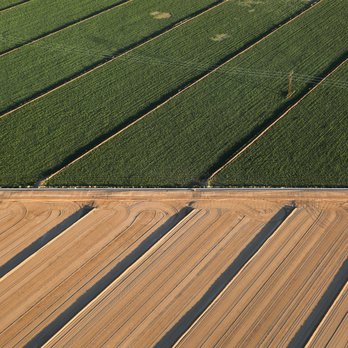 Tucson Balloon Rides - So different to view Arizona landscapes from the sky! - Tours Near Me