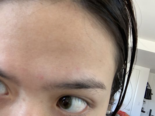 Daphne European Skincare & Sugaring Studio by null